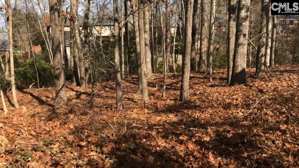 326 Carola Lane Lexington SC 29072