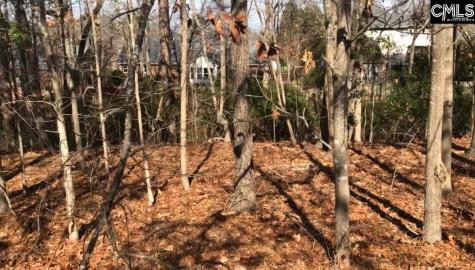 326 Carola Lane Lexington SC 29072