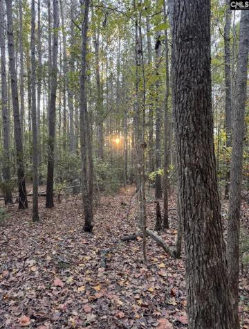 Beechwoods Drive Lexington SC 29072