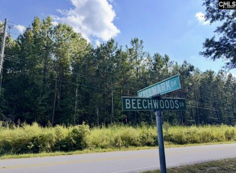 Beechwoods Drive Lexington SC 29072