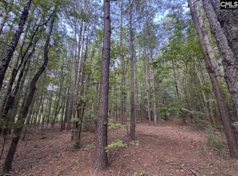 Beechwoods Drive Lexington SC 29072