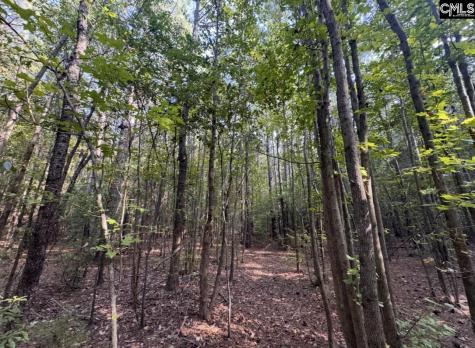 Beechwoods Drive Lexington SC 29072