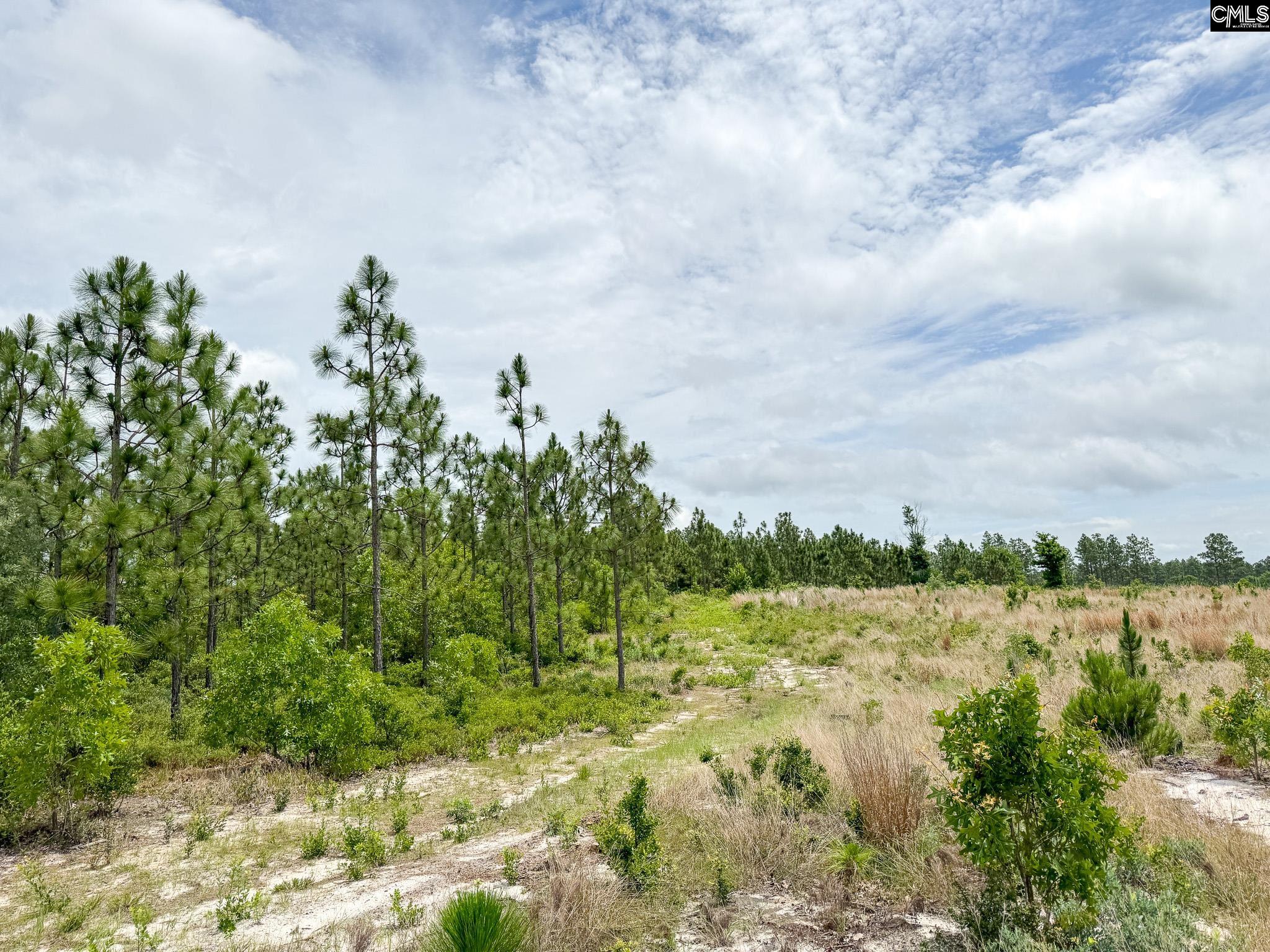 0 Neely Wingard Road Lot 8 Gilbert SC 29054