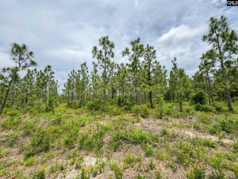 0 Neely Wingard Road Lot 8 Gilbert SC 29054