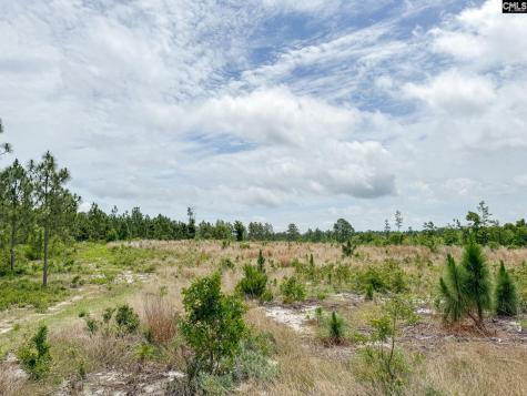 0 Neely Wingard Road Lot 8 Gilbert SC 29054