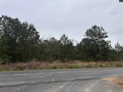 Tract 2 Patrick Highway Hartsville SC 29550