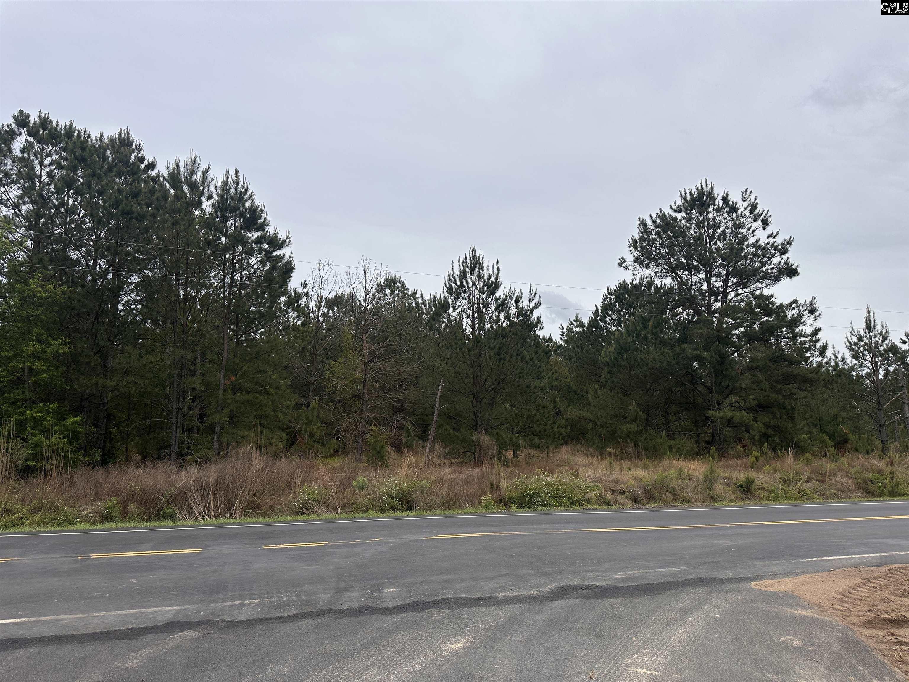Tract 2 Patrick Highway Hartsville SC 29550