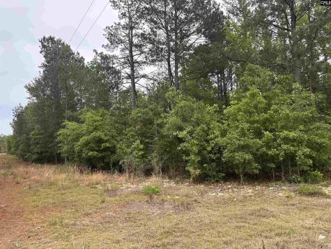 Tract 2 Patrick Highway Hartsville SC 29550