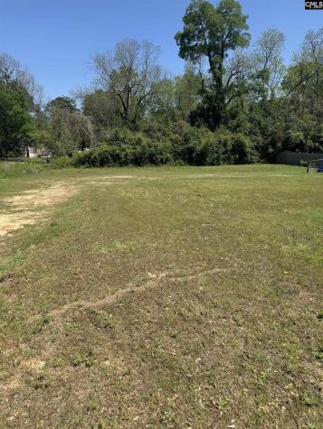 1515 Cleveland Street Columbia SC 29203