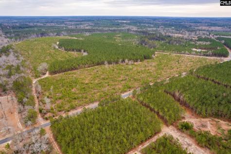 Tbd Catalina Boulevard Lot 16 Swansea SC 29160
