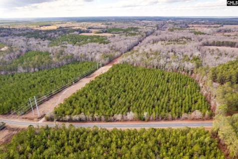 Tbd Catalina Boulevard Lot 16 Swansea SC 29160