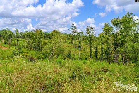 0000 Penner Road 8 Jenkinsville SC 29065