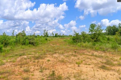 0000 Penner Road 8 Jenkinsville SC 29065
