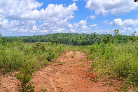 0000 Penner Road 8 Jenkinsville SC 29065