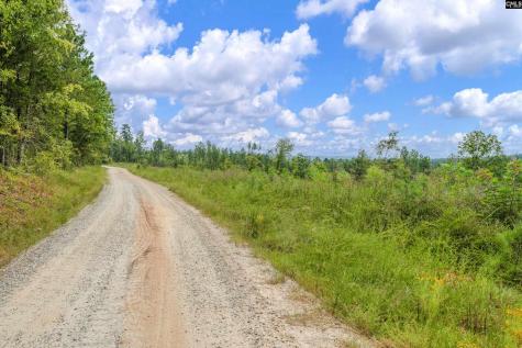 0000 Penner Road 8 Jenkinsville SC 29065