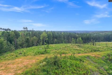 0000 Penner Road 8 Jenkinsville SC 29065