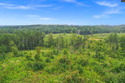 0000 Penner Road 8 Jenkinsville SC 29065