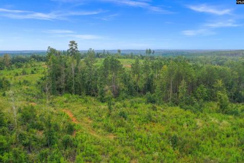 0000 Penner Road 8 Jenkinsville SC 29065