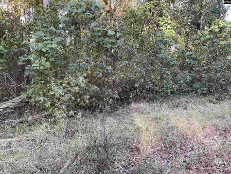 3551 Moonlight Road Barnwell SC 29853