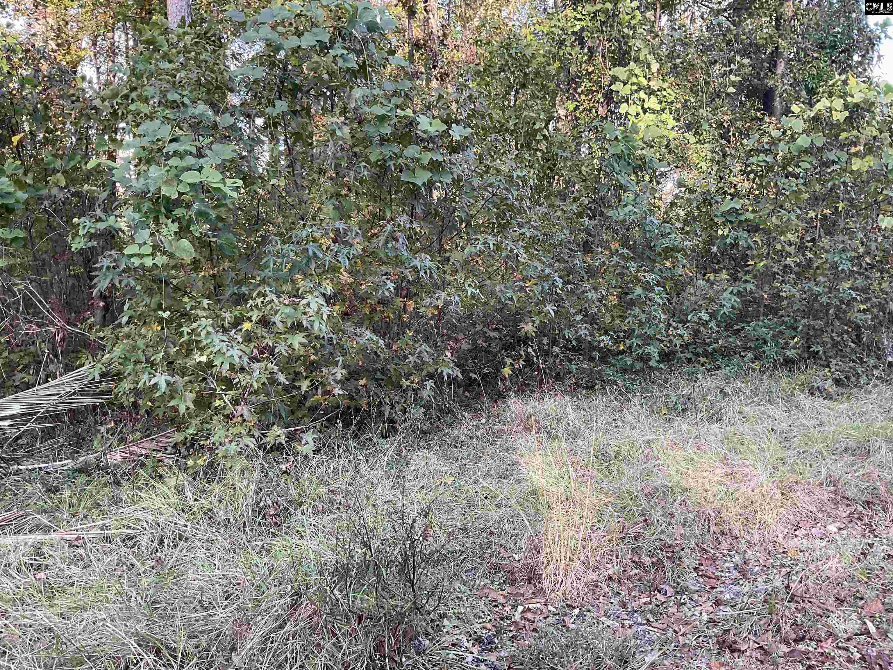 3551 Moonlight Road Barnwell SC 29853