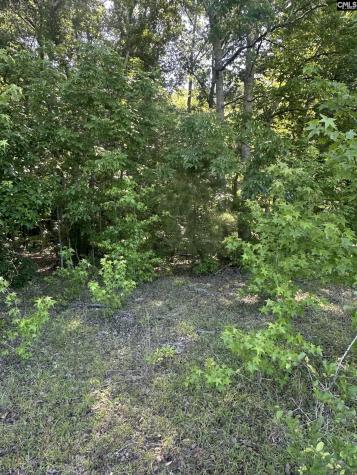 3551 Moonlight Road Barnwell SC 29853