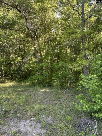 3551 Moonlight Road Barnwell SC 29853