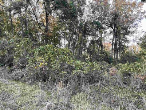 3551 Moonlight Road Barnwell SC 29853