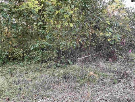 3551 Moonlight Road Barnwell SC 29853