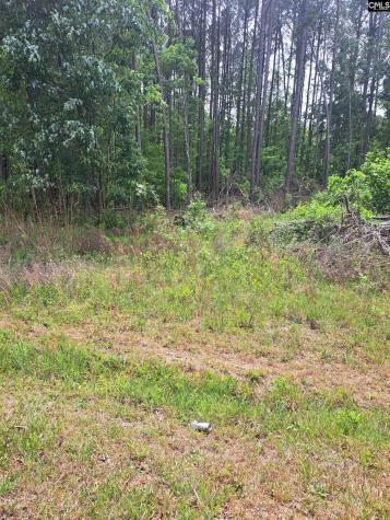 460 Grover Wilson Road Ridgeway SC 29130-0000