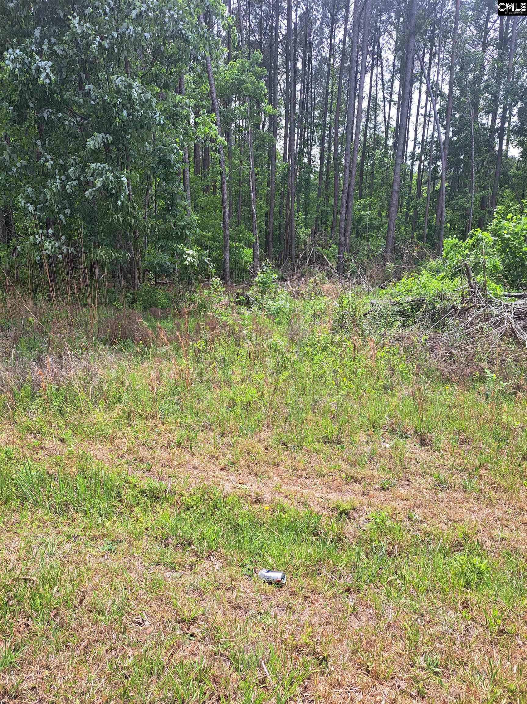 460 Grover Wilson Road Ridgeway SC 29130-0000