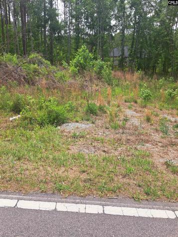 460 Grover Wilson Road Ridgeway SC 29130-0000