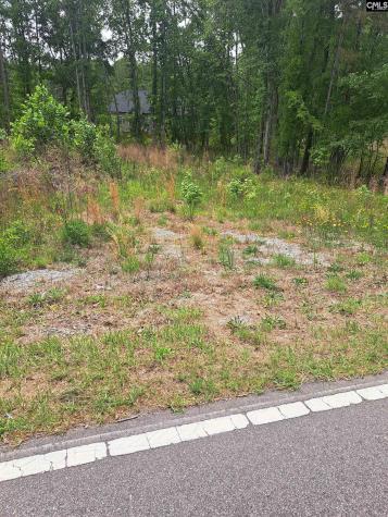 460 Grover Wilson Road Ridgeway SC 29130-0000