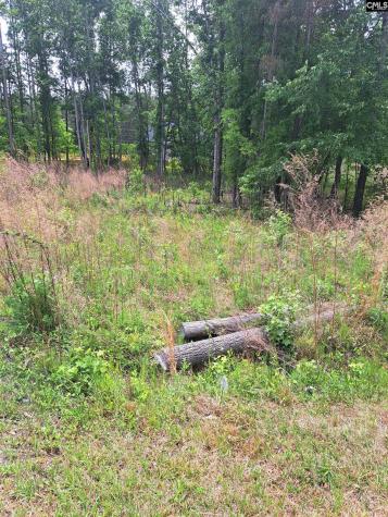 460 Grover Wilson Road Ridgeway SC 29130-0000