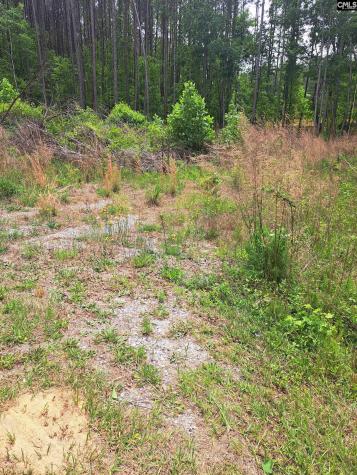 460 Grover Wilson Road Ridgeway SC 29130-0000