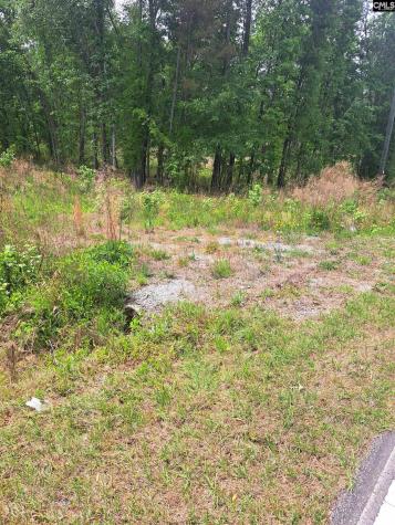 460 Grover Wilson Road Ridgeway SC 29130-0000