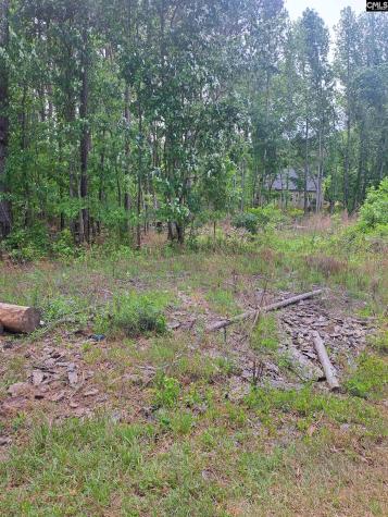 460 Grover Wilson Road Ridgeway SC 29130-0000