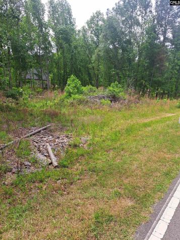 460 Grover Wilson Road Ridgeway SC 29130-0000