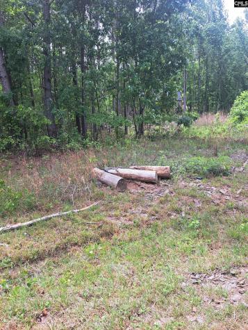 460 Grover Wilson Road Ridgeway SC 29130-0000