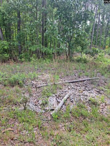 460 Grover Wilson Road Ridgeway SC 29130-0000