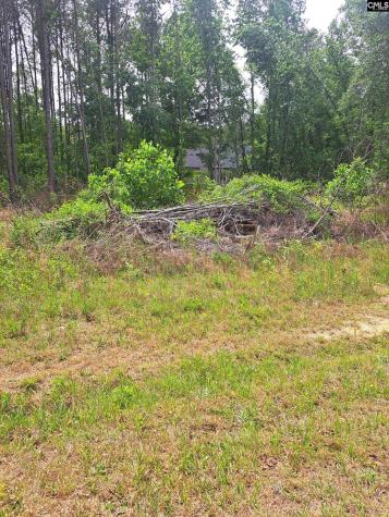 460 Grover Wilson Road Ridgeway SC 29130-0000