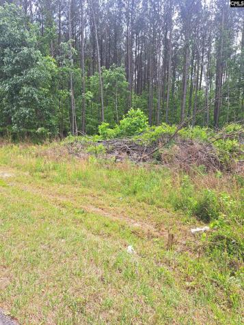 460 Grover Wilson Road Ridgeway SC 29130-0000