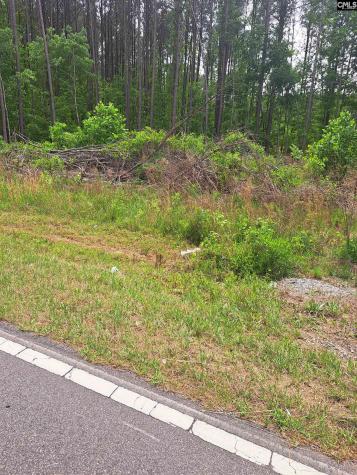 460 Grover Wilson Road Ridgeway SC 29130-0000