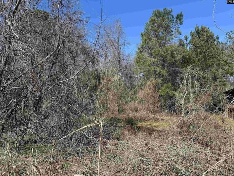 97 Charmont Drive Columbia SC 29223