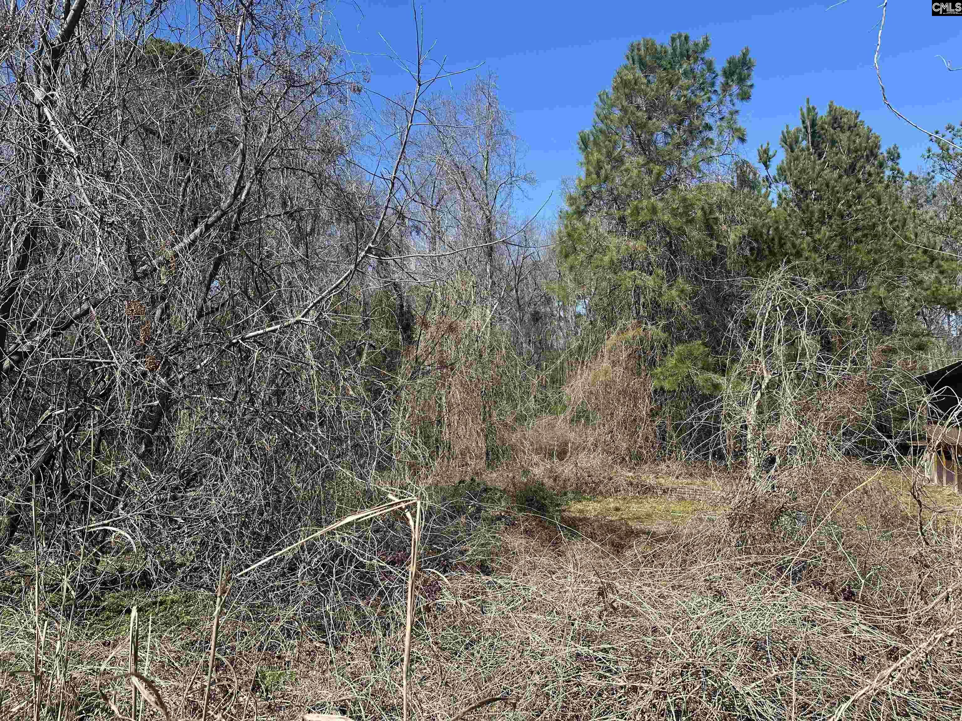 97 Charmont Drive Columbia SC 29223