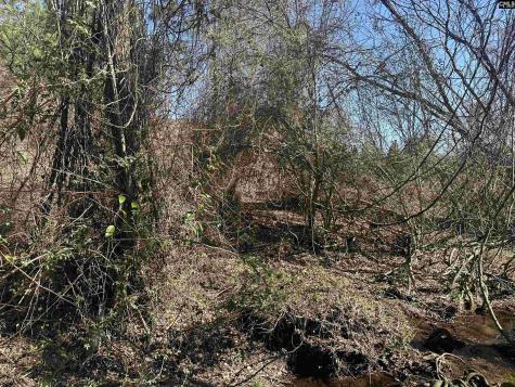 97 Charmont Drive Columbia SC 29223