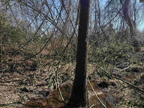 97 Charmont Drive Columbia SC 29223