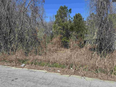 97 Charmont Drive Columbia SC 29223