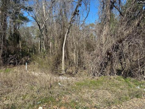 97 Charmont Drive Columbia SC 29223