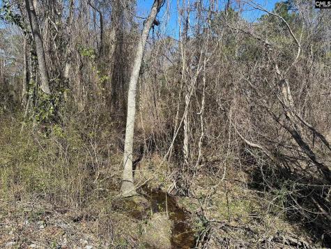 97 Charmont Drive Columbia SC 29223