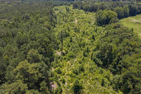 Stevens Road Saluda SC 29138
